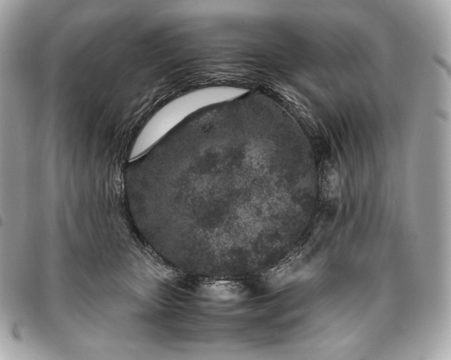 X0000096420467200802071707