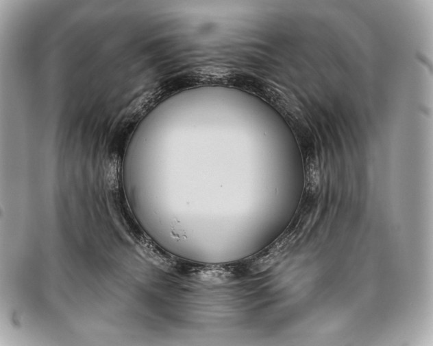 X0000096420468200802071707