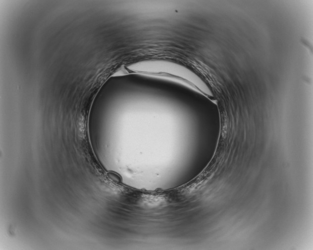 X0000096420469200802071707