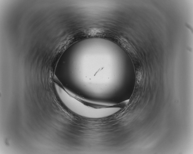 X0000096420470200802071707