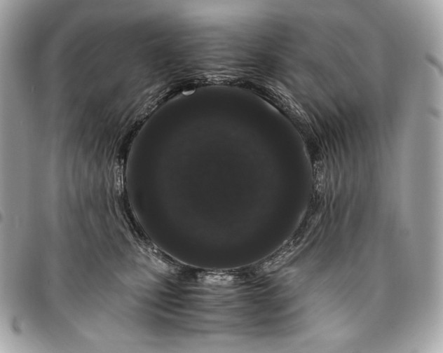 X0000096420471200802071707