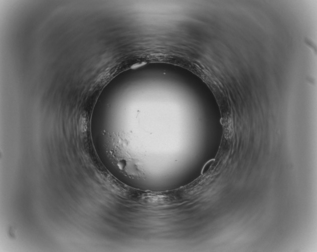 X0000096420472200802071707