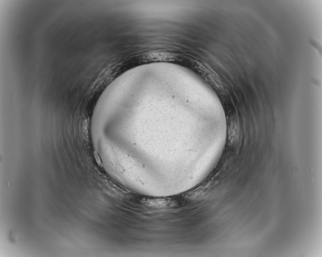 X0000096420473200802071707