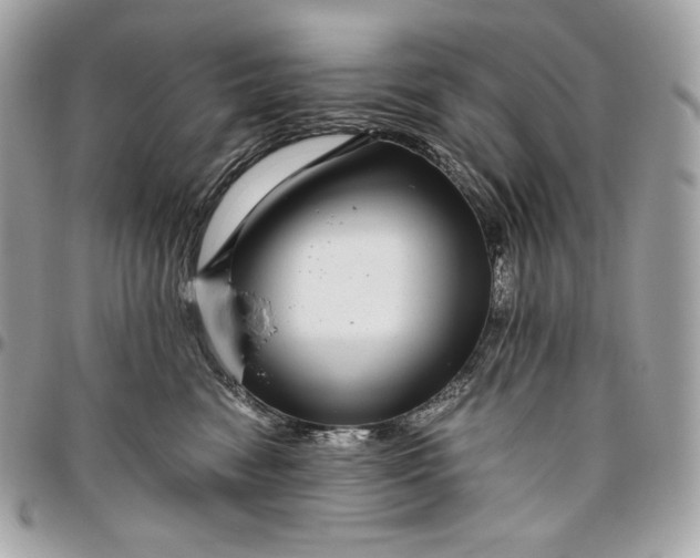 X0000096420474200802071707