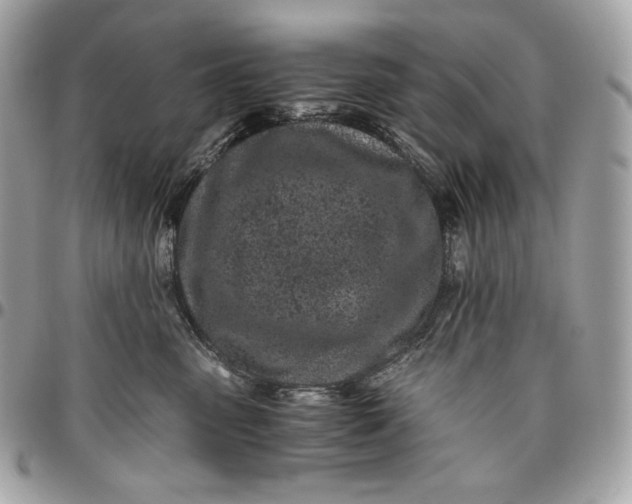 X0000096420475200802071707