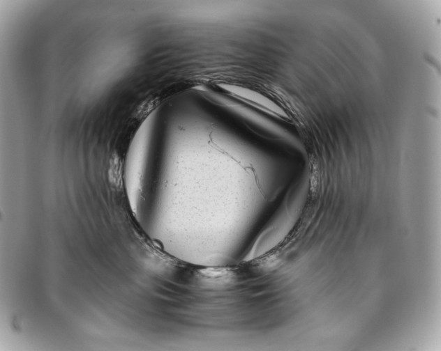 X0000096420477200802071707