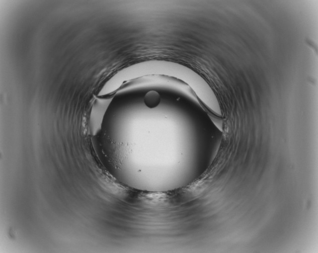 X0000096420478200802071707