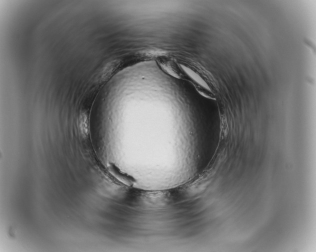 X0000096420479200802071707