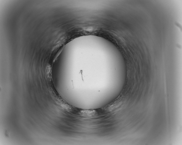 X0000096420480200802071707