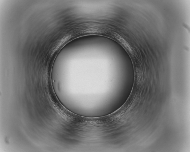 X0000096420482200802071706