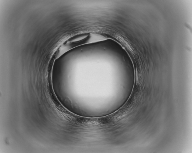 X0000096420483200802071706