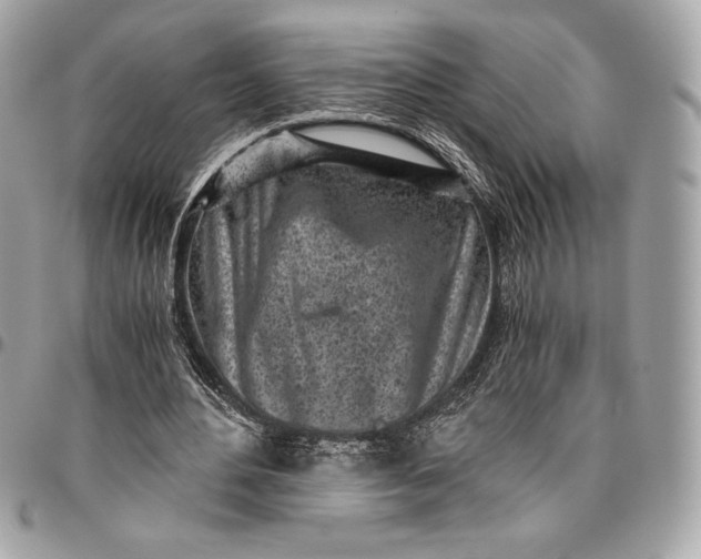 X0000096420484200802071706