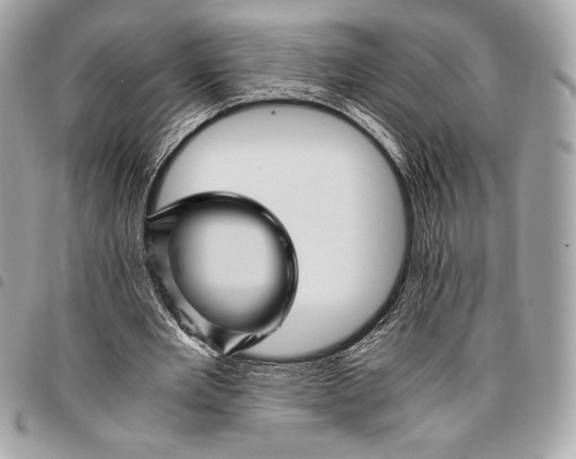 X0000096420485200802071706