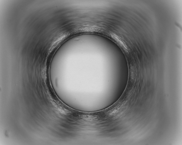 X0000096420486200802071706