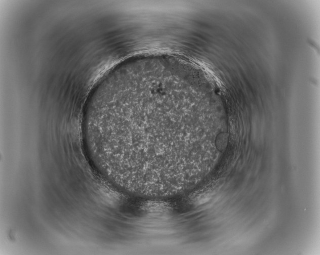 X0000096420487200802071706