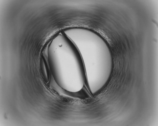 X0000096420488200802071706