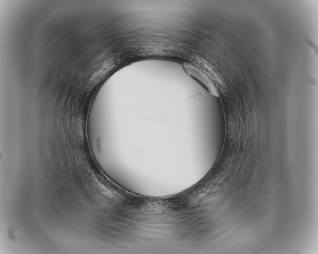 X0000096420489200802071706