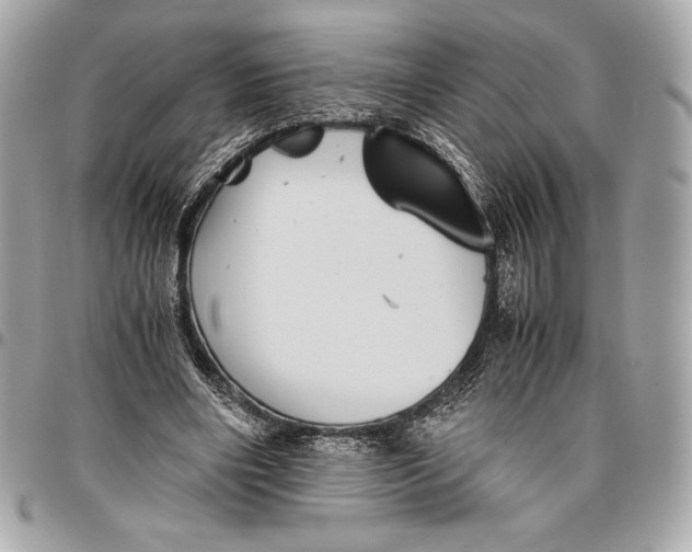 X0000096420490200802071706