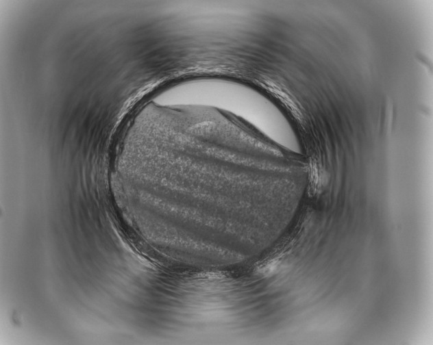 X0000096420492200802071706