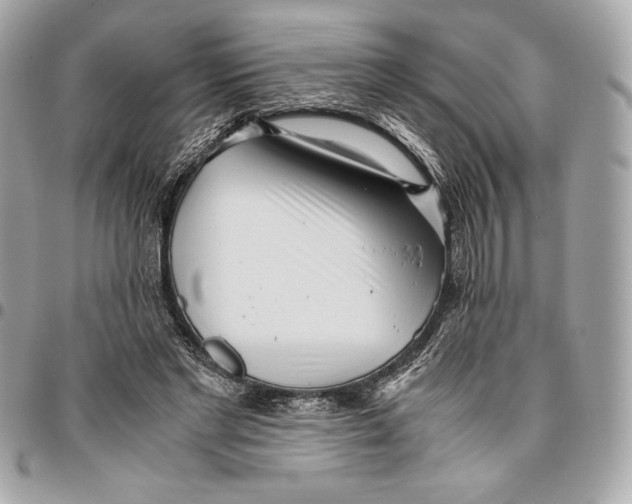 X0000096420493200802071706