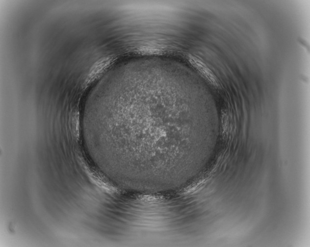 X0000096420494200802071706