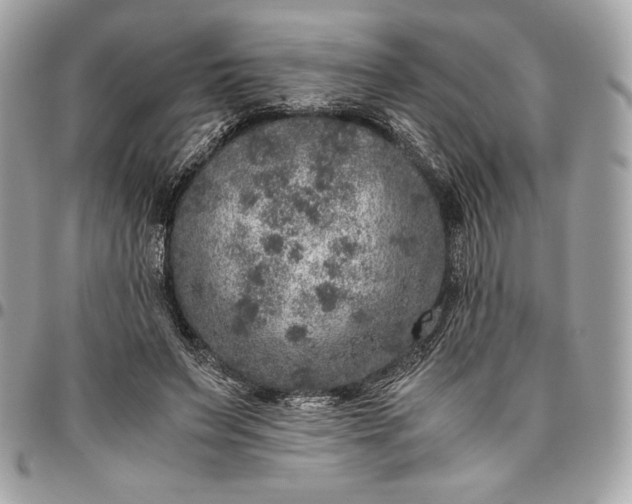 X0000096420495200802071706