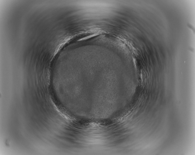 X0000096420496200802071706