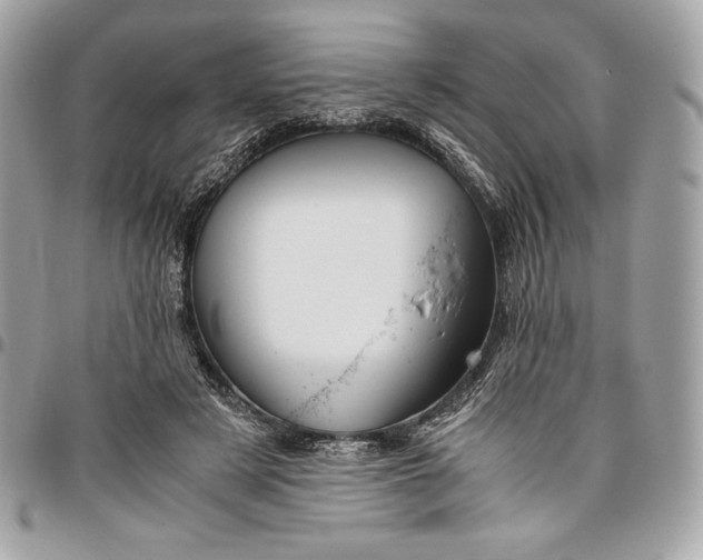 X0000096420497200802071706