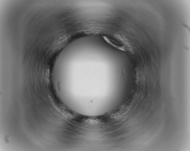 X0000096420498200802071706