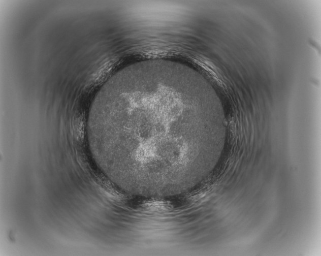 X0000096420499200802071706