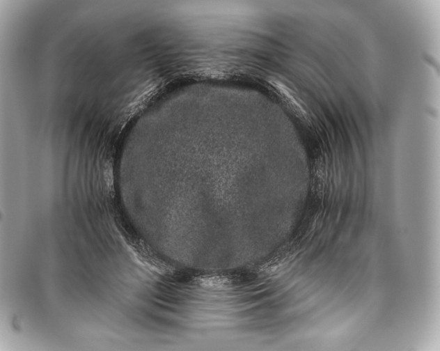 X0000096420500200802071706