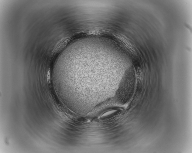 X0000096420502200802071706