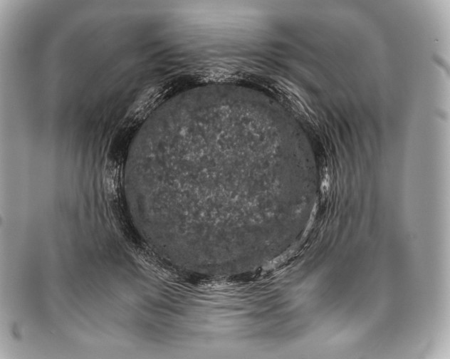 X0000096420503200802071706