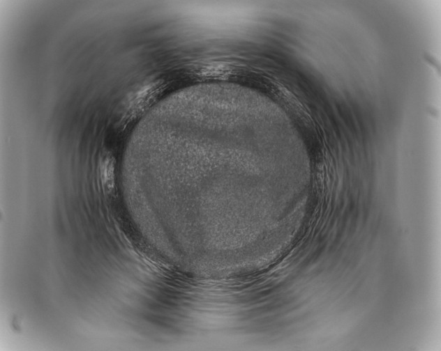 X0000096420504200802071706