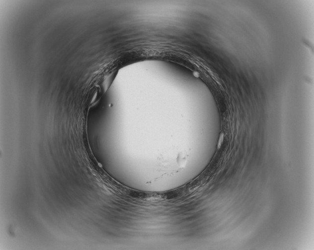 X0000096420505200802071706