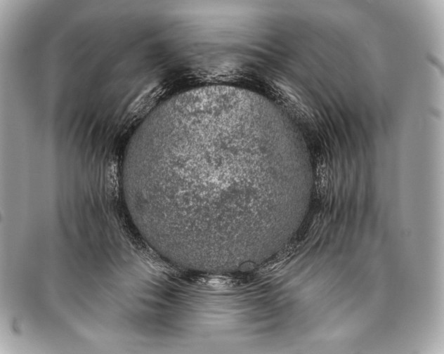 X0000096420506200802071706