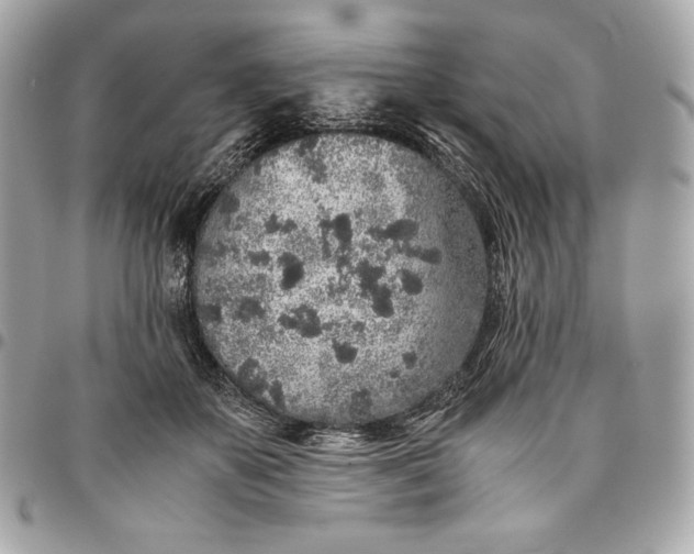 X0000096420507200802071706