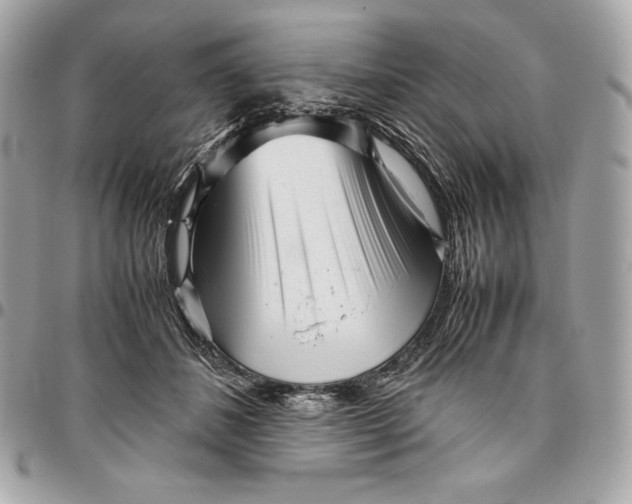 X0000096420508200802071706