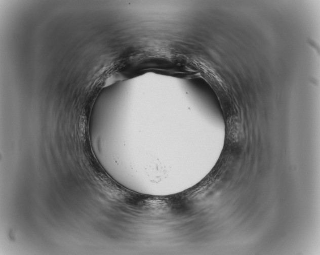 X0000096420509200802071706