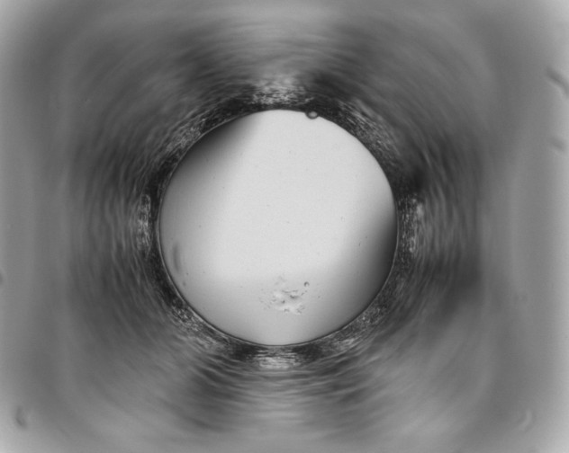 X0000096420510200802071706