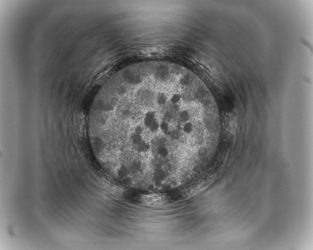 X0000096420511200802071706