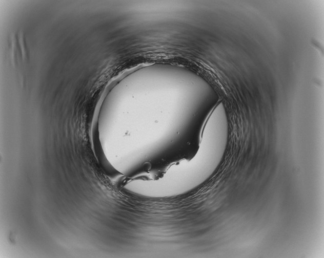 X0000096420512200802071706