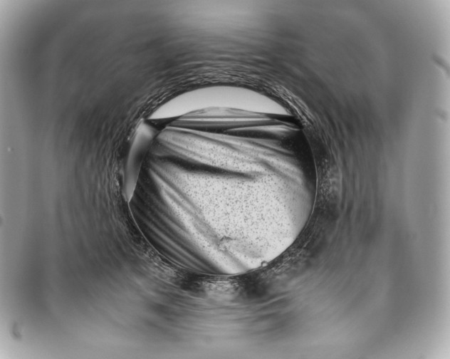 X0000096420513200802071706