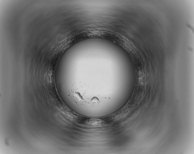 X0000096420514200802071706