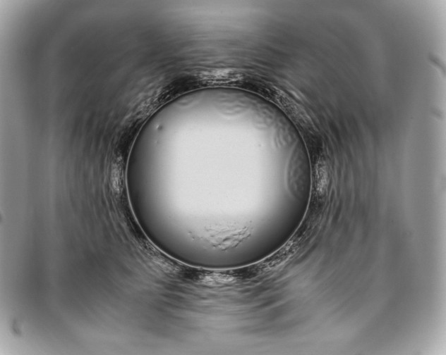 X0000096420515200802071706