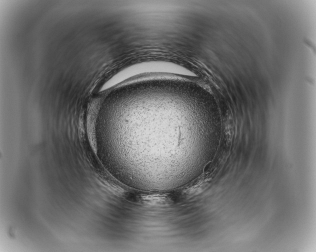 X0000096420516200802071706