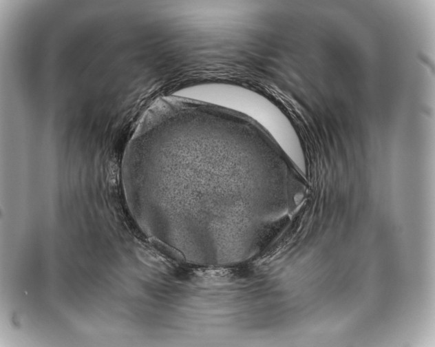 X0000096420517200802071706