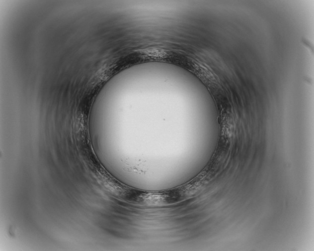 X0000096420518200802071706