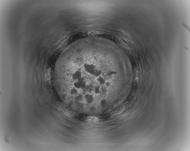 X0000096420519200802071706