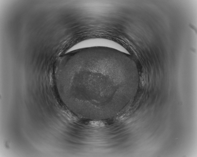 X0000096420520200802071706